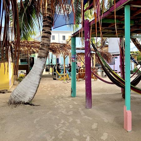 Хостел Tropical Oasis Caye Corker Экстерьер фото