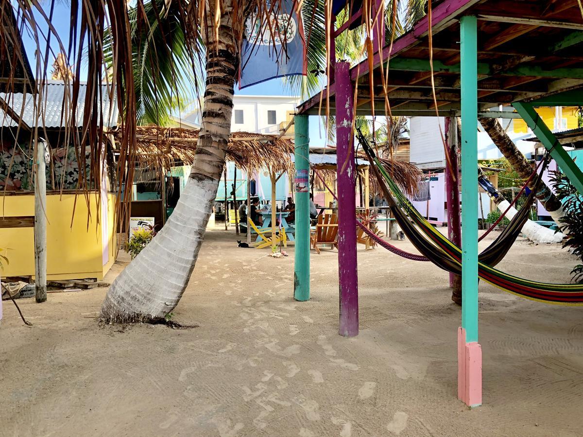 Хостел Tropical Oasis Caye Corker Экстерьер фото