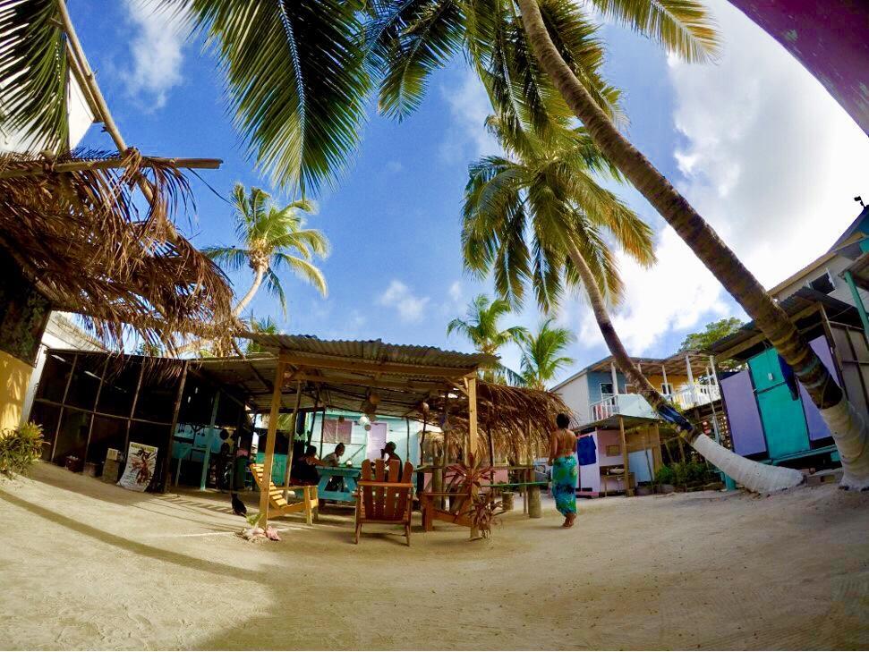 Хостел Tropical Oasis Caye Corker Экстерьер фото